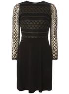 Dorothy Perkins Black Gold Lace Fit And Flare Dress