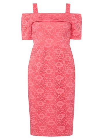 Dorothy Perkins Pink Lace Cold Shoulder Pencil Dress