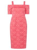 Dorothy Perkins Pink Lace Cold Shoulder Pencil Dress