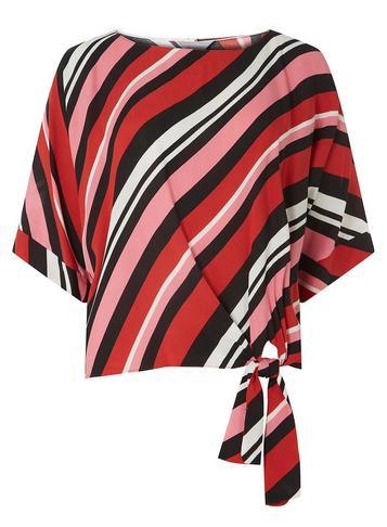 Dorothy Perkins Petite Multi Colour Striped T-shirt