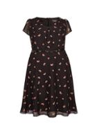 *billie & Blossom Curve Black Watermelon Print Skater Dress