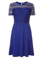 Dorothy Perkins *tall Cobalt Stripe Lace Dress