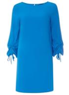 Dorothy Perkins Blue Ruched Sleeve Shift Dress