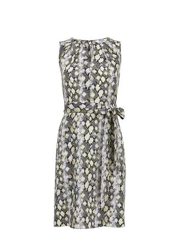 Dorothy Perkins Petite Green Snake Print Fit And Flare Dress