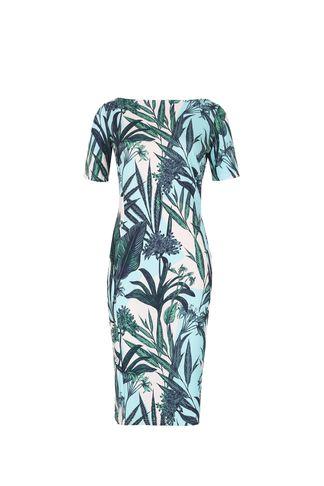 Dorothy Perkins *feverfish Blue Printed Bodycon Dress