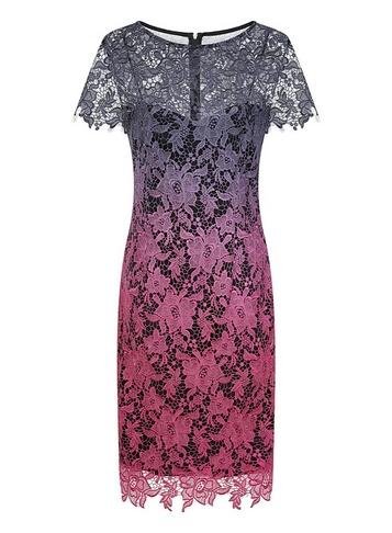 Paper Dolls *ss Ombre All Over Lace Dress