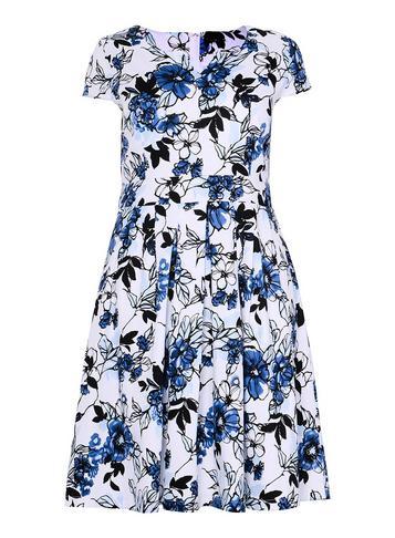 Dorothy Perkins *izabel London Curve Multi Colour Fit And Flare Dress