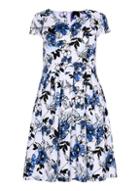 Dorothy Perkins *izabel London Curve Multi Colour Fit And Flare Dress