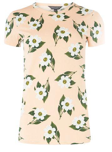 Dorothy Perkins *tall Blush Floral T-shirt