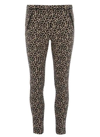 Dorothy Perkins Stone Animal Bengline Trousers