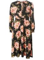 Dorothy Perkins Petite Black Floral Fit And Flare Dress