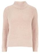 Dorothy Perkins Pink High Neck Jumper