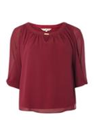 Dorothy Perkins *billie & Blossom Petite Mulberry Trim Blouse