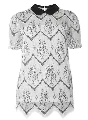 Dorothy Perkins *tall Ivory Lace Collar T-shirt