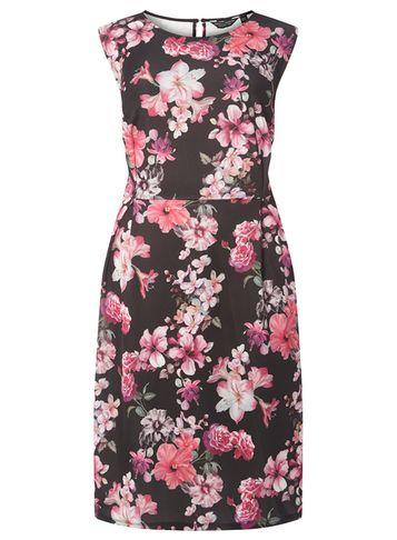 Dorothy Perkins Dp Curve Pink Floral Print Fit And Flare Dress