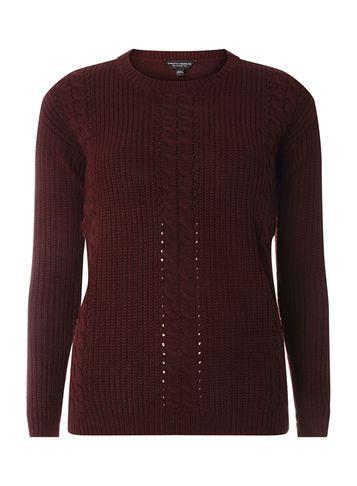 Dorothy Perkins Berry Cable Knit Front Jumper