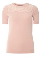 Dorothy Perkins Petite Pink Lace Yoke T-shirt