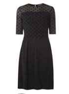 Dorothy Perkins *tall Black Dobby Mesh Dress