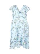 *billie & Blossom Curve Blue Floral Print Skater Dress