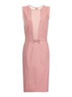 Dorothy Perkins Pink Lace Insert Dress