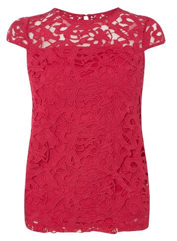 Dorothy Perkins Pink Lace Shell Top