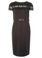 Dorothy Perkins Black Scuba And Lace Pencil Dress