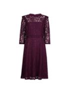 Dorothy Perkins Berry Shirred Lace Midi Dress