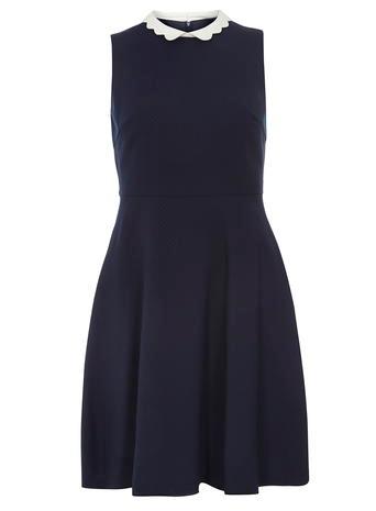 Dorothy Perkins Navy Scallop Collar Skater Dress