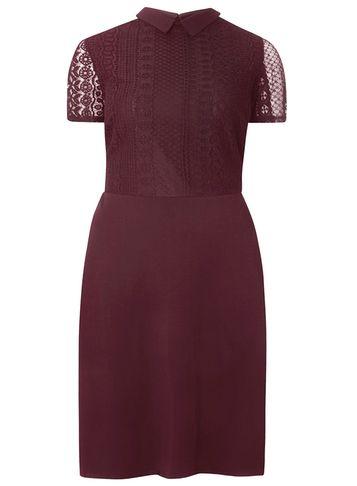 Dorothy Perkins *dp Curve Purple Lace Collared Dress