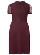 Dorothy Perkins *dp Curve Purple Lace Collared Dress