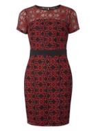 Dorothy Perkins Petite Red Lace Pencil Dress