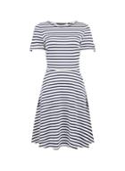 Dorothy Perkins Multi Coloured Stripe Print Button T-shirt Dress