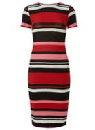 Dorothy Perkins Petite Multi Colour Striped Bodycon Dress