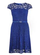 Dorothy Perkins Petite Cobalt Lace Swing Dress