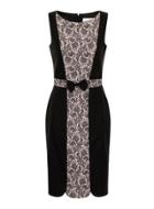 Dorothy Perkins Black Lace Panel Dress