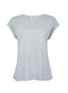 Dorothy Perkins Petite Grey Roll Sleeve Cotton T-shirt