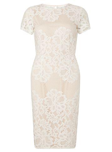 Dorothy Perkins Ivory Lace Pencil Dress