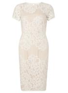 Dorothy Perkins Ivory Lace Pencil Dress