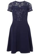 Dorothy Perkins *tall Navy Sequin Lace Skater Dress
