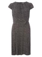 Dorothy Perkins *billie & Blossom Petite Monochrome Skater Dress