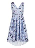 Dorothy Perkins *chi Chi London Curve Blue Floral Print Midi Dress