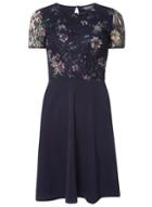 Dorothy Perkins Navy Floral Print Lace Top Dress