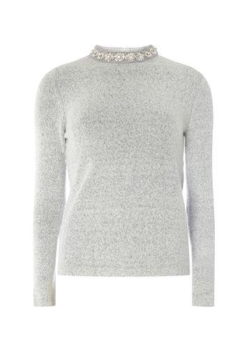 Dorothy Perkins Petite Grey Embellished Neck Jumper