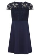 Dorothy Perkins Petite Navy Fit And Flare Dress