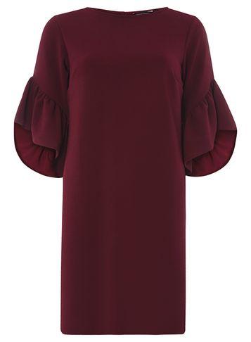 Dorothy Perkins Wine Ruffle Sleeve Shift Dress