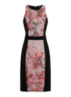 Dorothy Perkins *little Mistress Oriental Floral Dress