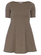 Dorothy Perkins Petite Black And Nude Fit And Flare Dress