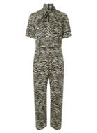 Dorothy Perkins Zebra Pussybow Jumpsuit