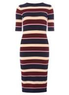 Dorothy Perkins Multi Coloured Stripe Knitted Midi Dress
