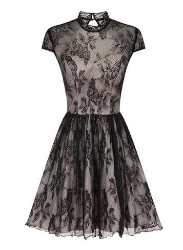 Dorothy Perkins *chi Chi London Black Lace High-neck Dress
